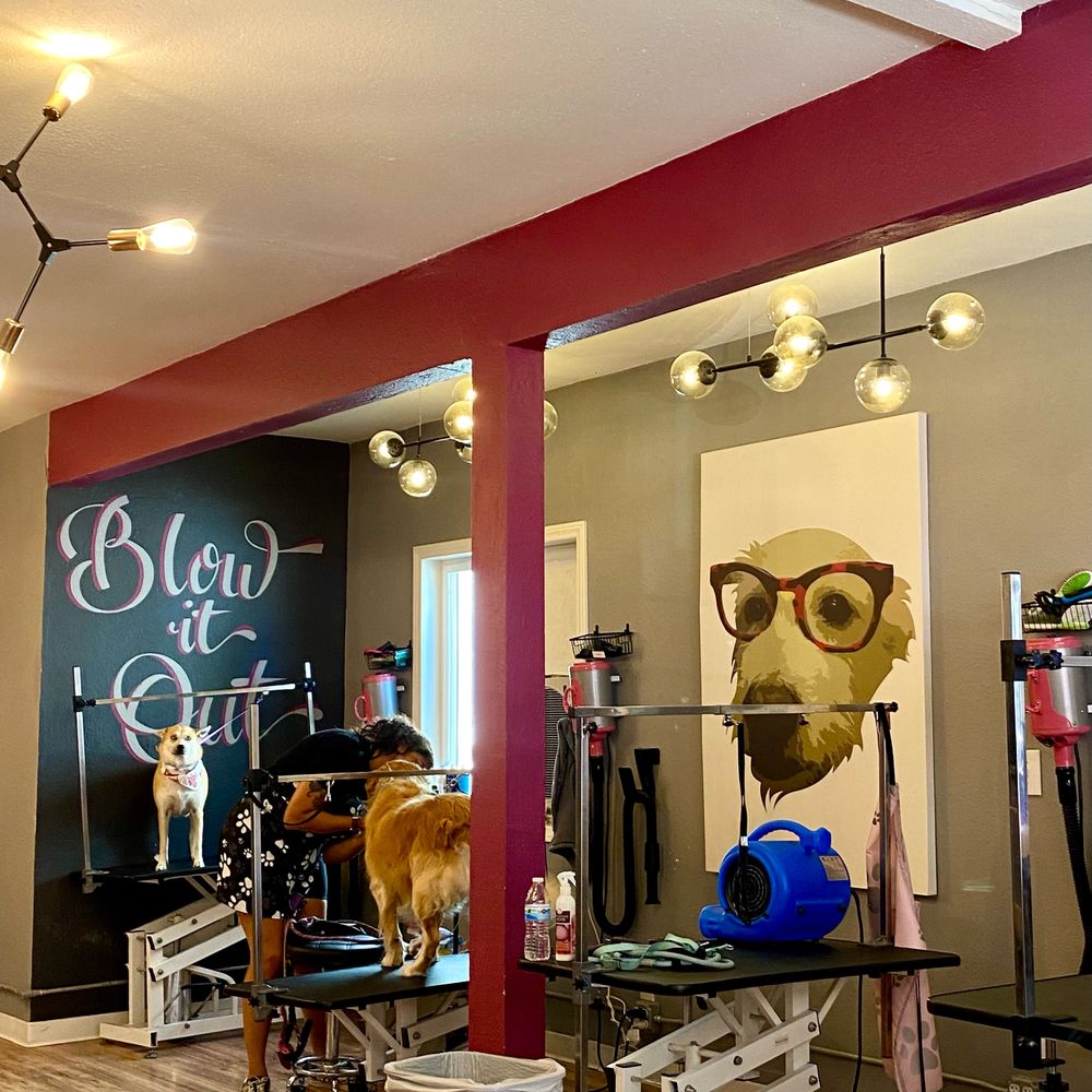 Bitches N Bubbles - Professional groomer area. I've seen groomers kiss little dogs on the head and hug them which makes my heart melt - Pet Groomers Near Me - Long Beach, California