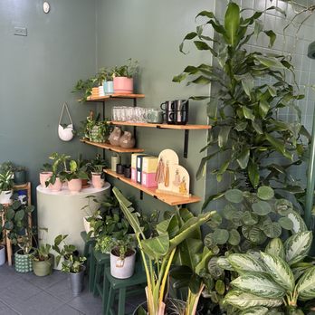 Meera Coffee & Plants - Plants for sale. Great earthy vibes. - Creperies Near Me - Simi Valley, California Meera Coffee & Plants - Plants for sale. Great earthy vibes. - Creperies Near Me - Simi Valley, California