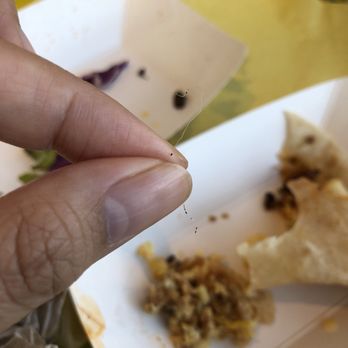 Rusty Taco - Hair found in my taco. Disgusting. - Tex-Mex Near Me - Dallas, Texas Rusty Taco - Hair found in my taco. Disgusting. - Tex-Mex Near Me - Dallas, Texas