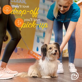 Dogtopia - Pet Groomers Near Me - Rancho Cordova, California Dogtopia - Pet Groomers Near Me - Rancho Cordova, California