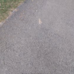 Proksa Park