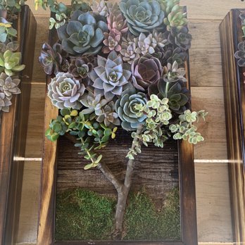 Isaac Farms - like are you kidding me?! so creative! - Nurseries & Gardening Near Me - Miami, Florida Isaac Farms - like are you kidding me?! so creative! - Nurseries & Gardening Near Me - Miami, Florida