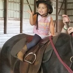 Janet Green Stables