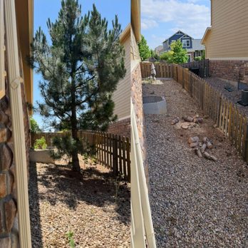 Tree Express - Tree Services Near Me - Denver, Colorado Tree Express - Tree Services Near Me - Denver, Colorado