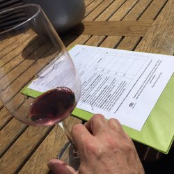 Thistle Hill Vineyard - The sun was shining ...... the wine flowing ...... !!