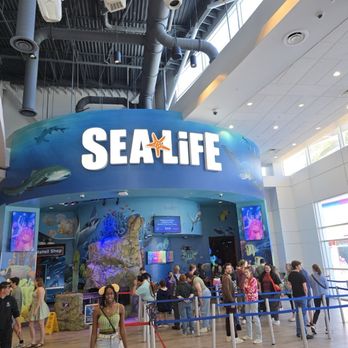 Sea Life - Entrance - Aquariums Near Me - Orlando, Florida Sea Life - Entrance - Aquariums Near Me - Orlando, Florida