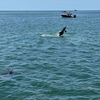 BluQ - Boating Near Me - Key West, Florida