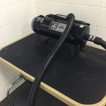 Petco - Blow dryer - Pet Stores Near Me - Decatur, Georgia