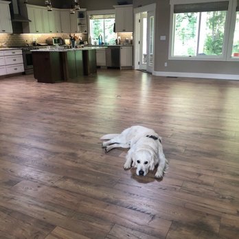 Great Floors - My beautiful new floor (which my dog also loves) - Flooring Near Me - Lacey, Washington