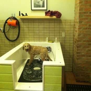 Doggy Style Pet Shop - Pet Groomers Near Me - Chicago, Illinois Doggy Style Pet Shop - Pet Groomers Near Me - Chicago, Illinois
