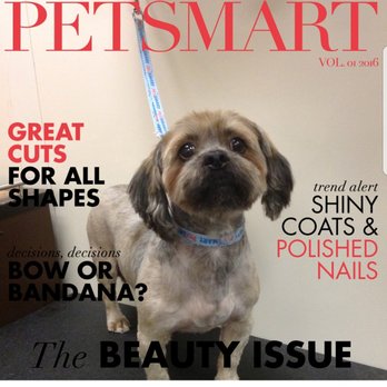 PetSmart - Pet Training Near Me - Las Vegas, Nevada PetSmart - Pet Training Near Me - Las Vegas, Nevada