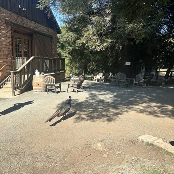 Picchetti Winery - Wineries Near Me - Cupertino, California