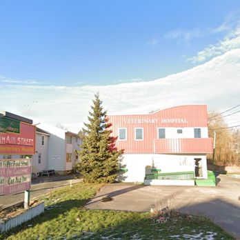 Main Street Veterinary Hospital - Veterinarians Near Me - Fredericton, New Brunswick Main Street Veterinary Hospital - Veterinarians Near Me - Fredericton, New Brunswick