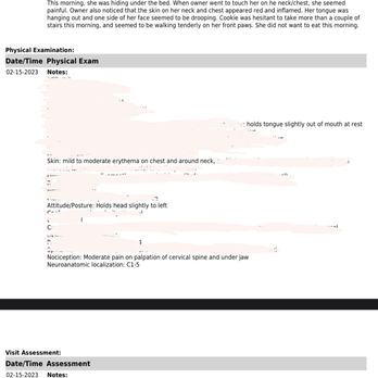 Marie's Pet Grooming - MY DOG WENT TO THE ER BC OF THEM! Cookies discharge summary - Pet Groomers Near Me - Chicago, Illinois Marie's Pet Grooming - MY DOG WENT TO THE ER BC OF THEM! Cookies discharge summary - Pet Groomers Near Me - Chicago, Illinois