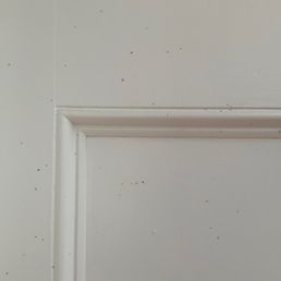 Sticky primer/paint combo that never dried. More of the same in basement stairwell with incompatible caulk and primer.