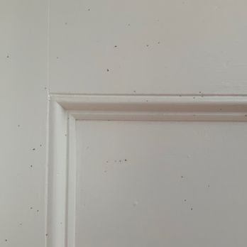 Color by Design - Sticky primer/paint combo that never dried. More of the same in basement stairwell with incompatible caulk and primer. - Paint Stores Near Me - Falls Church, Virginia