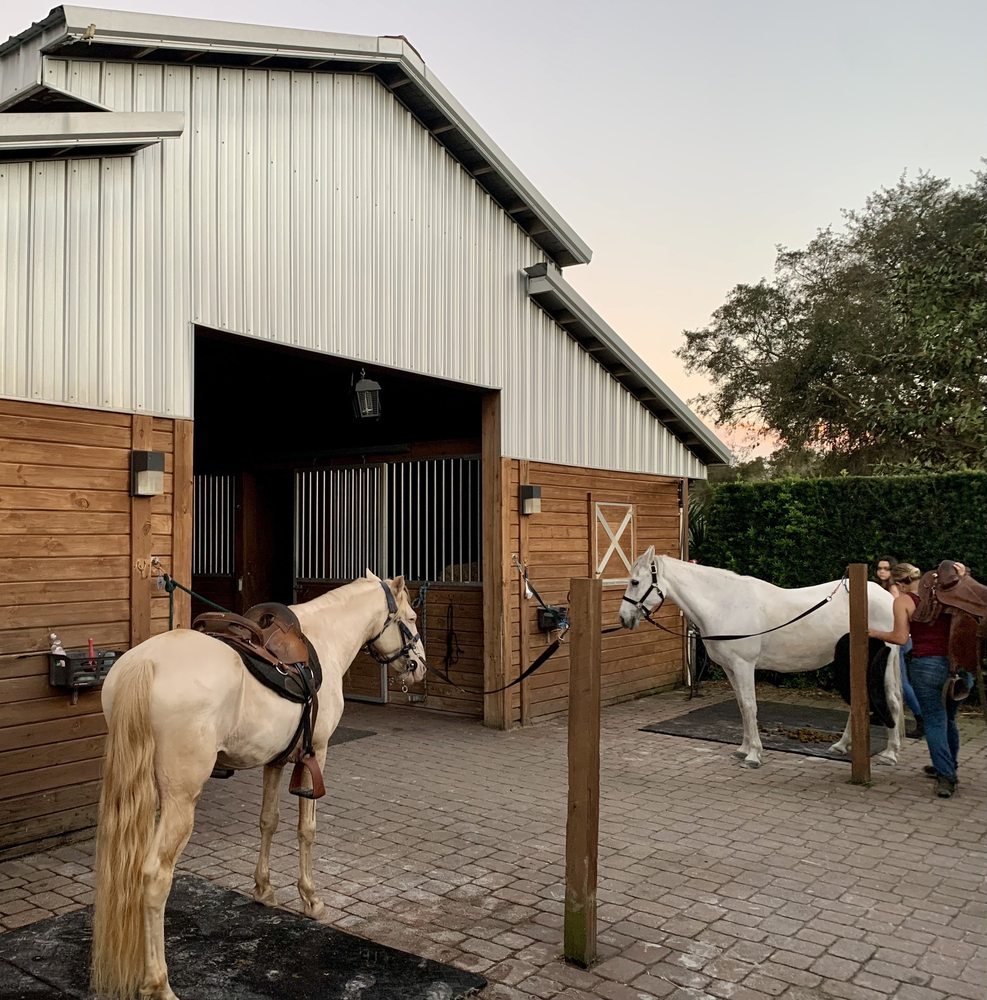 Escape With Horses - equestrian in Winter Garden, FL