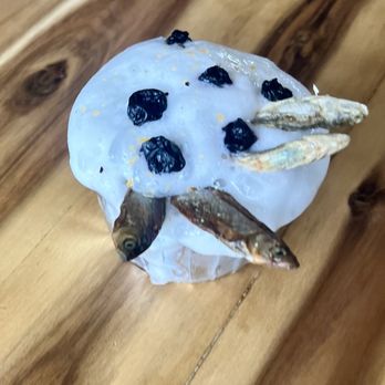 Cafe Zoomies - Coffee & Tea Near Me - Ventura, California Cafe Zoomies - Coffee & Tea Near Me - Ventura, California