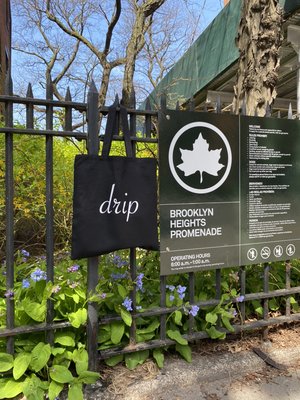 drip coffee makers by null