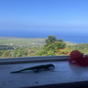 The Coffee Shack - Table - Coffee & Tea Near Me - Captain Cook, Hawaii