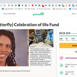 Giant - Leilani's GoFundMe Page