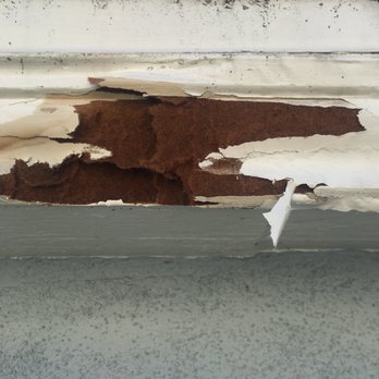 The Educated Painters - Come on! what is this???? Stay away! - Painters Near Me The Educated Painters - Come on! what is this???? Stay away! - Painters Near Me
