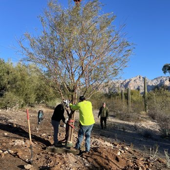 Moon Valley Nurseries - Guys make sure it's straight - Nurseries & Gardening Near Me - Marana, Arizona