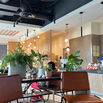 Mille Cafe - Cafes Near Me - Friendswood, Texas Mille Cafe - Cafes Near Me - Friendswood, Texas