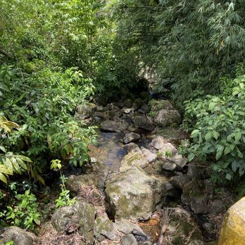 El Yunque Rainforest - Hiking Near Me - Luquillo, Puerto Rico