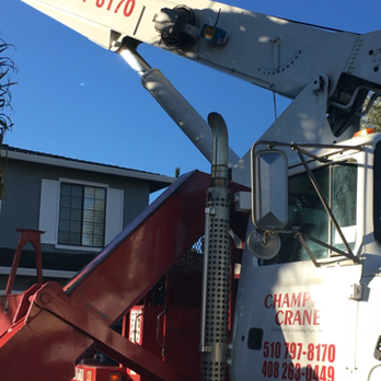 Champion Crane - Crane Services Near Me