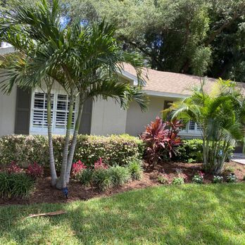 Mulch By Caleb - a front yard with palm trees and shrubs - Landscaping Near Me Mulch By Caleb - a front yard with palm trees and shrubs - Landscaping Near Me