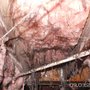 Photo of Dry-Tek Environmental