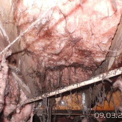 Dry-Tek Environmental - Typical crawl space on the Eastern Shore of MD.