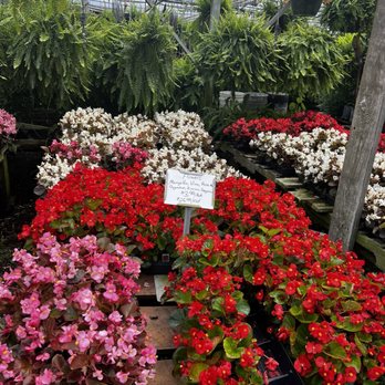 Interstate Greenhouse & Nursery - Nurseries & Gardening Near Me - Carrollton, Kentucky Interstate Greenhouse & Nursery - Nurseries & Gardening Near Me - Carrollton, Kentucky