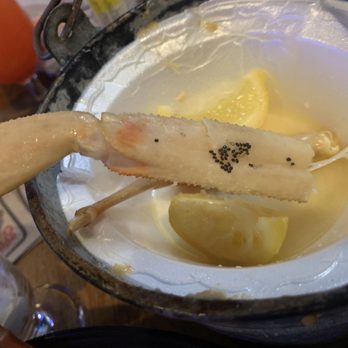 Spondivits - leech eggs in crab legs - Seafood Near Me - East Point, Georgia Spondivits - leech eggs in crab legs - Seafood Near Me - East Point, Georgia