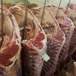 Kissin Fresh Meats, Inc.