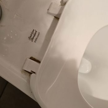 Morning Belle - Feces on toilet seat. - Breakfast & Brunch Near Me - Grand Rapids, Michigan