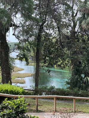 Rainbow Springs State Park by null