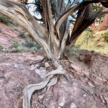 Cathedral Rock - Hiking Near Me - Sedona, Arizona Cathedral Rock - Hiking Near Me - Sedona, Arizona