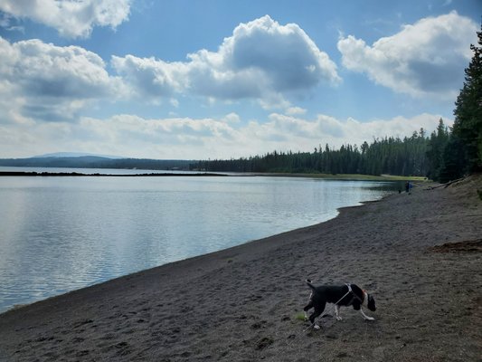 Yellowstone Lake by null