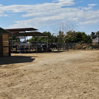 SoCal Horse Adventures - Horse stable - Horseback Riding Near Me - Palmdale, California SoCal Horse Adventures - Horse stable - Horseback Riding Near Me - Palmdale, California