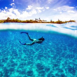 Trilogy Excursions - Snorkel the crystal clear waters of Maui on our Discover Lana'i, Ka'anapali, Molokini, or Olowalu snorkel excursions!