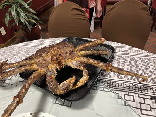 Seattle Harbor Restaurant by null