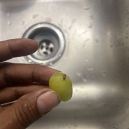 Me washing my cotton candy grapes for the third time because I keep finding bugs on them.