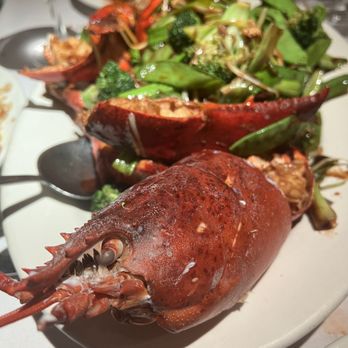 Hunan Taste - Lobster! - Chinese Near Me - Greenvale, New York Hunan Taste - Lobster! - Chinese Near Me - Greenvale, New York