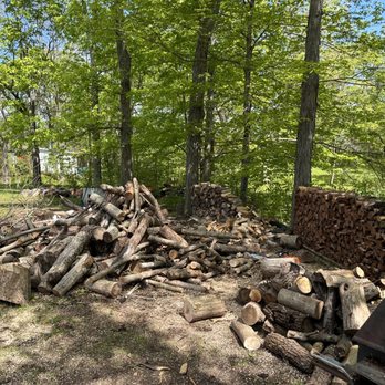 Dead Ash Services - We also sell firewood year round. - Tree Services Near Me Dead Ash Services - We also sell firewood year round. - Tree Services Near Me