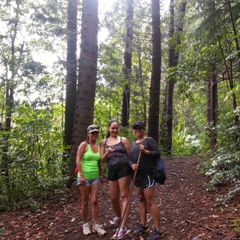 Judd Trail - Hiking Near Me - Honolulu, Hawaii