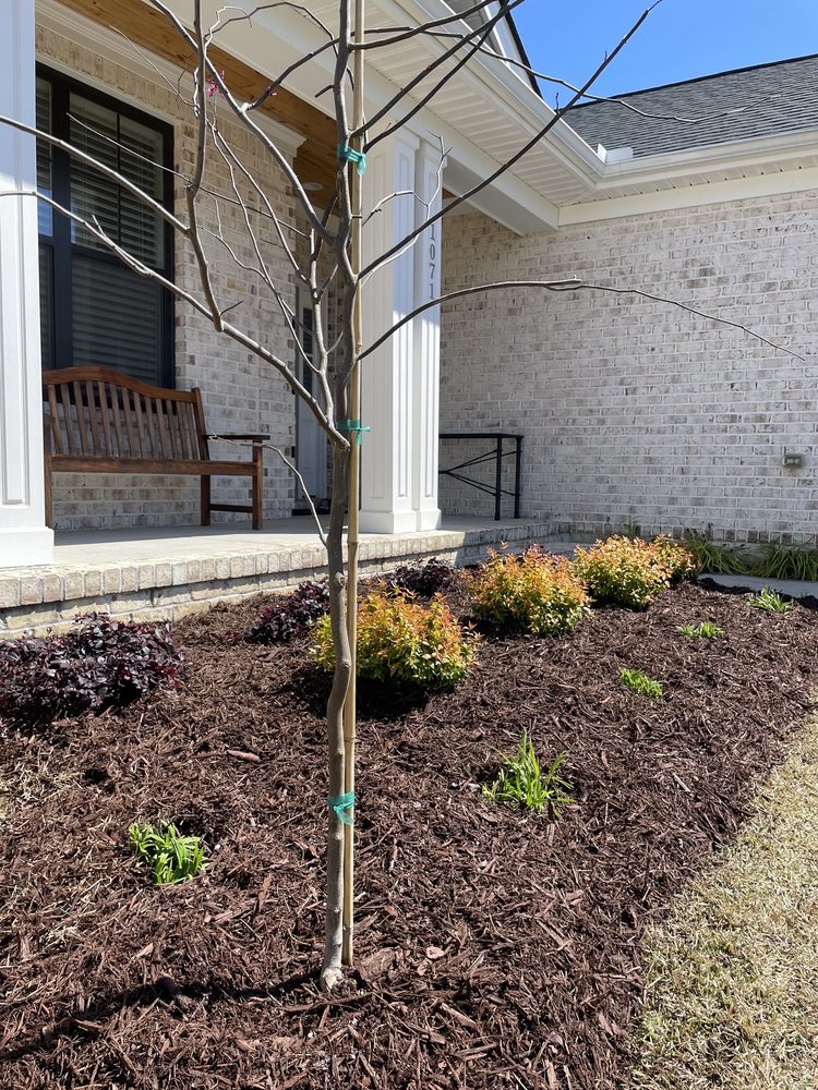 BLOOMS & BRANCHES GARDEN CENTER Updated October 2024 5523 Oleander