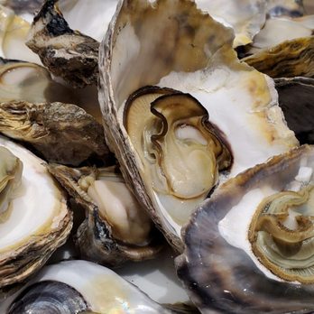 Isla Sugbu Seafood City - Steamed oysters - Seafood Near Me - Taguig, NCR Isla Sugbu Seafood City - Steamed oysters - Seafood Near Me - Taguig, NCR