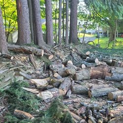 Earth Tenders Tree Care